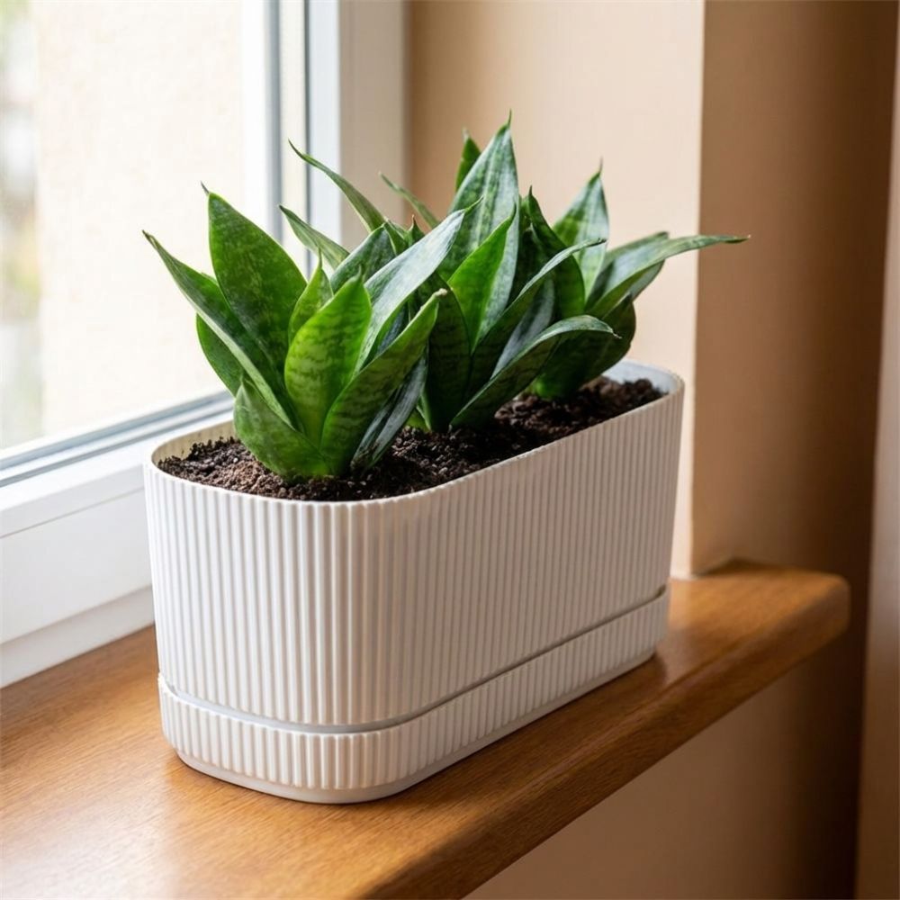 Пластиковый самополивающийся ц – обзор и цена Desk Setup Plant