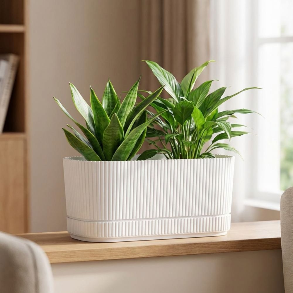 Пластиковый самополивающийся ц – обзор и цена Desk Setup Plant