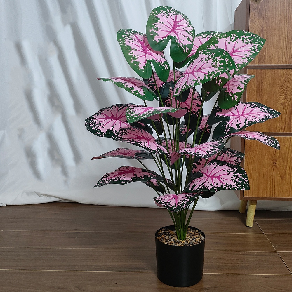 Розовые листья, горшечные раст – обзор и цена Desk Setup Plant