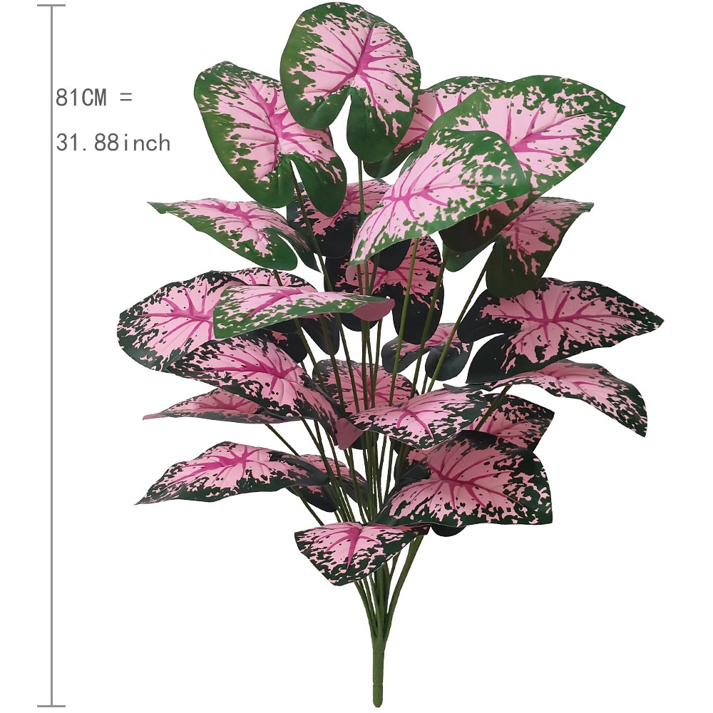 Розовые листья, горшечные раст – обзор и цена Desk Setup Plant