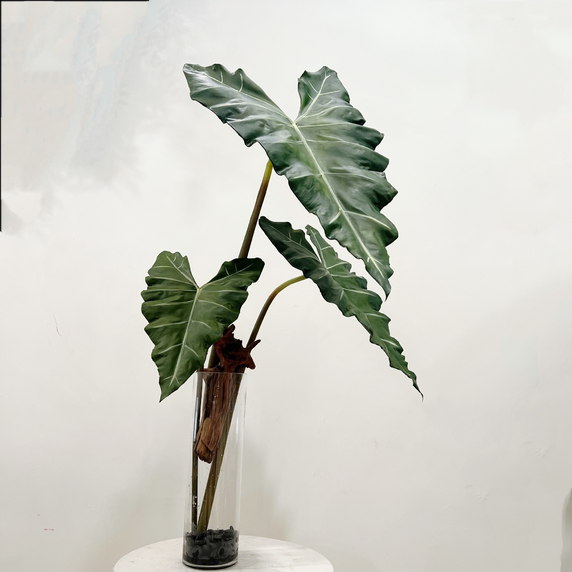 Имитация длинного искусственно – обзор и цена Desk Setup Plants